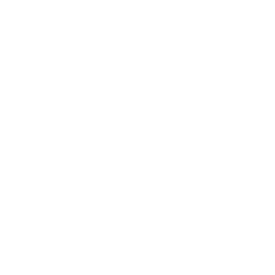 pay day loan